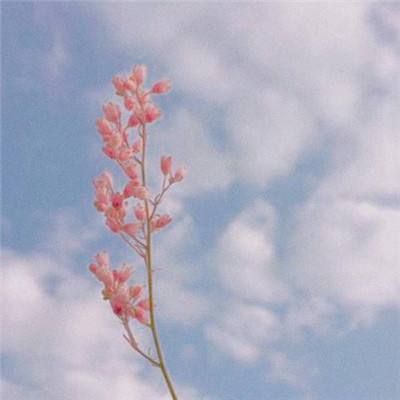 NG体育·(南宫)手机app下载